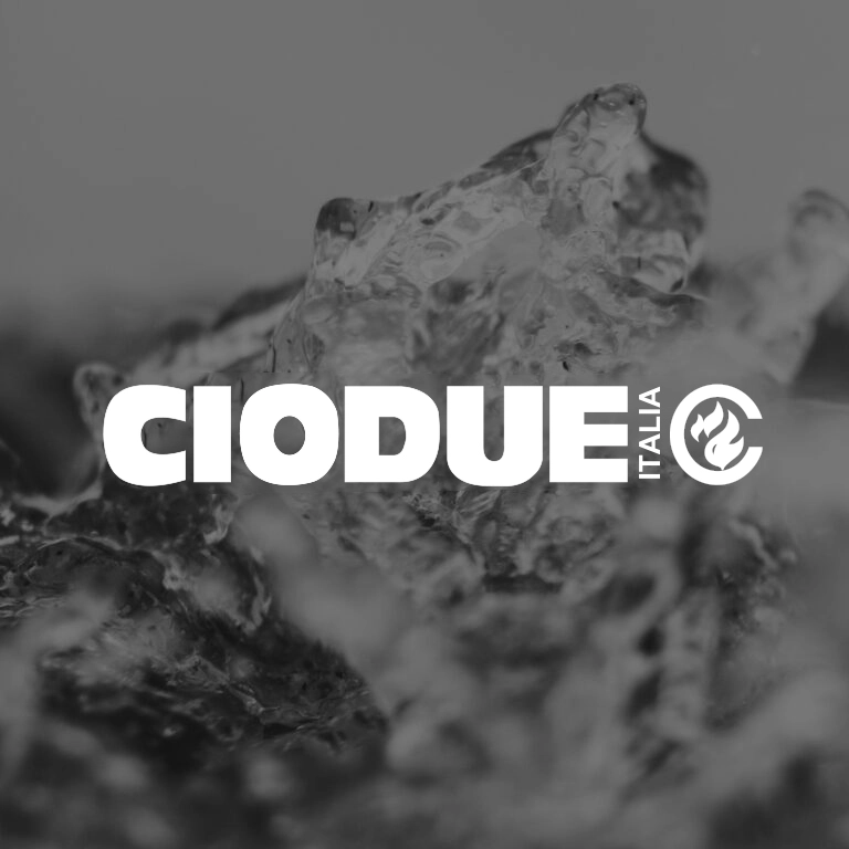 Ciodue-italia-srl Ciodue-italia-srl